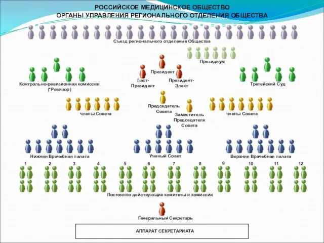 РОССИЙСКОЕ МЕДИЦИНСКОЕ ОБЩЕСТВО ОРГАНЫ УПРАВЛЕНИЯ РЕГИОНАЛЬНОГО ОТДЕЛЕНИЯ ОБЩЕСТВА Паст- Президент Президент-Элект Президент