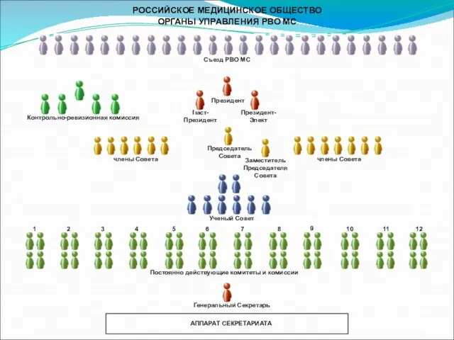 РОССИЙСКОЕ МЕДИЦИНСКОЕ ОБЩЕСТВО ОРГАНЫ УПРАВЛЕНИЯ РВО МС Паст- Президент Президент-Элект Президент Председатель