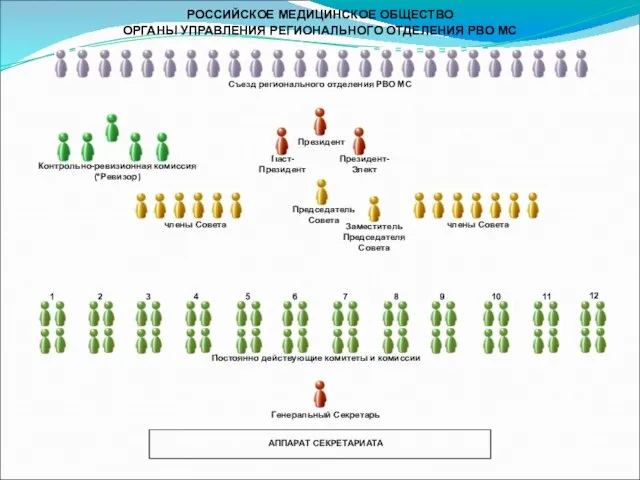 РОССИЙСКОЕ МЕДИЦИНСКОЕ ОБЩЕСТВО ОРГАНЫ УПРАВЛЕНИЯ РЕГИОНАЛЬНОГО ОТДЕЛЕНИЯ РВО МС Паст- Президент Президент-Элект