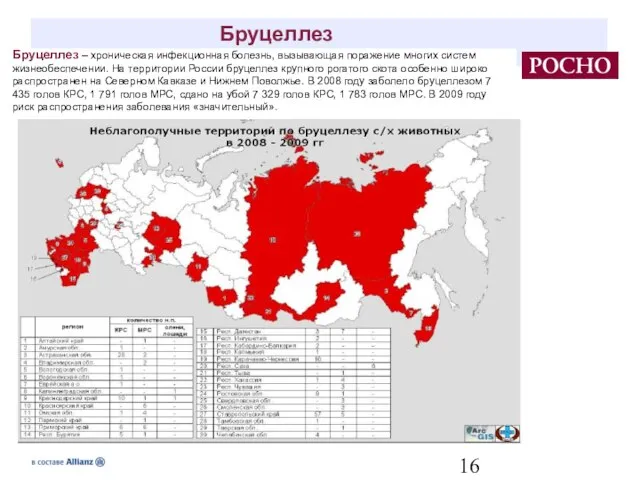 Бруцеллез – хроническая инфекционная болезнь, вызывающая поражение многих систем жизнеобеспечении. На территории