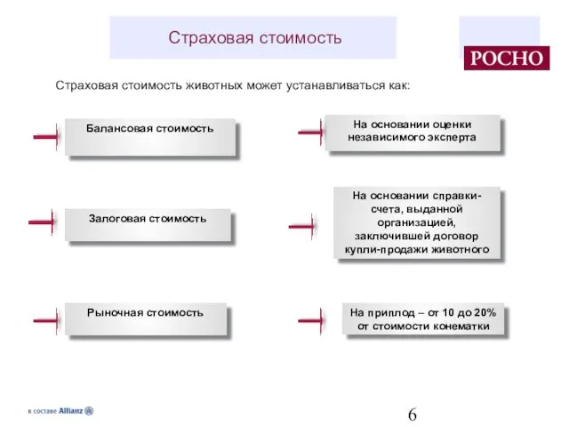 Страховая стоимость Страховая стоимость животных может устанавливаться как: Балансовая стоимость Залоговая стоимость