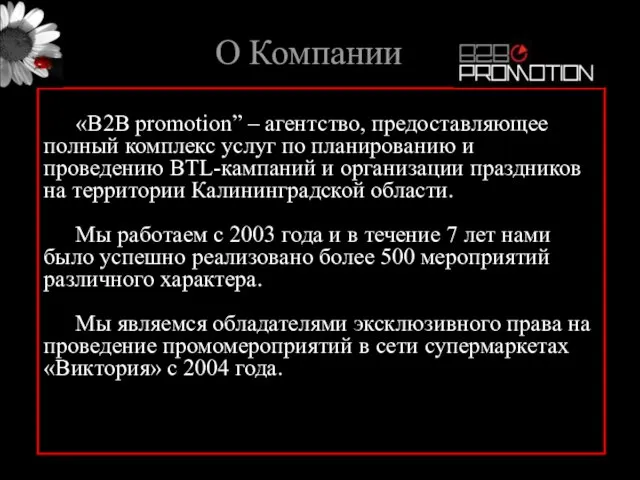 О Компании «B2B promotion” – агентство, предоставляющее полный комплекс услуг по планированию