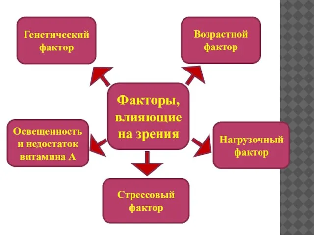 Освещенность и недостаток витамина А Возрастной фактор Генетический фактор Факторы, влияющие на