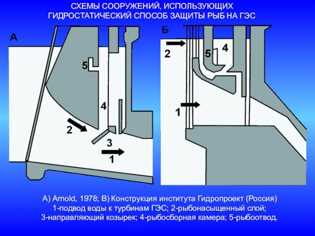 СХЕМЫ СООРУЖЕНИЙ, ИСПОЛЬЗУЮЩИХ ГИДРОСТАТИЧЕСКИЙ СПОСОБ ЗАЩИТЫ РЫБ НА ГЭС А) Arnold, 1978;