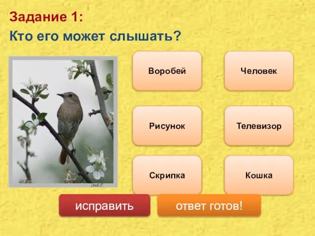 Задание 1: Кто его может слышать? Человек Кошка Воробей Скрипка Рисунок Телевизор исправить ответ готов!