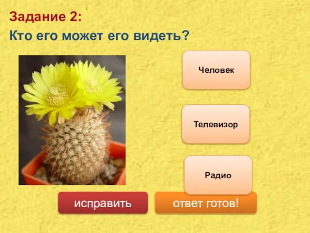 Задание 2: Кто его может его видеть? Человек Телевизор исправить ответ готов! Радио