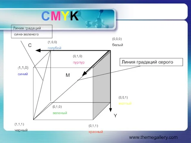 www.themegallery.com CMYK (0,1,1) красный