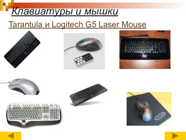 Клавиатуры и мышки Tarantula и Logitech G5 Laser Mouse