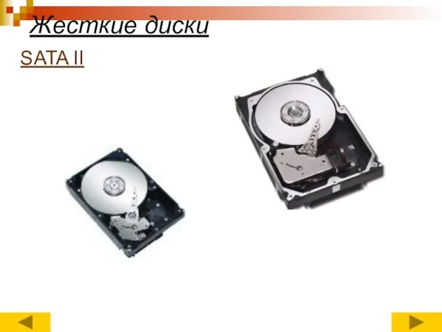 Жесткие диски SATA II