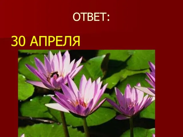 ОТВЕТ: 30 АПРЕЛЯ