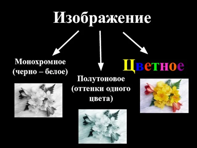 Изображение Монохромное (черно – белое) Полутоновое (оттенки одного цвета) Цветное