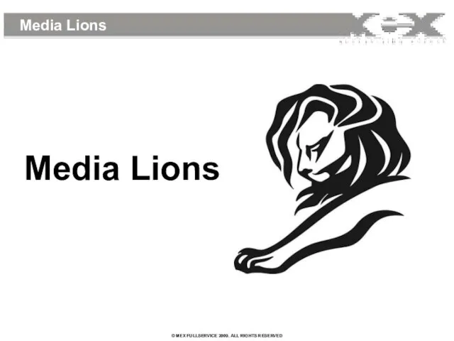 Media Lions Media Lions