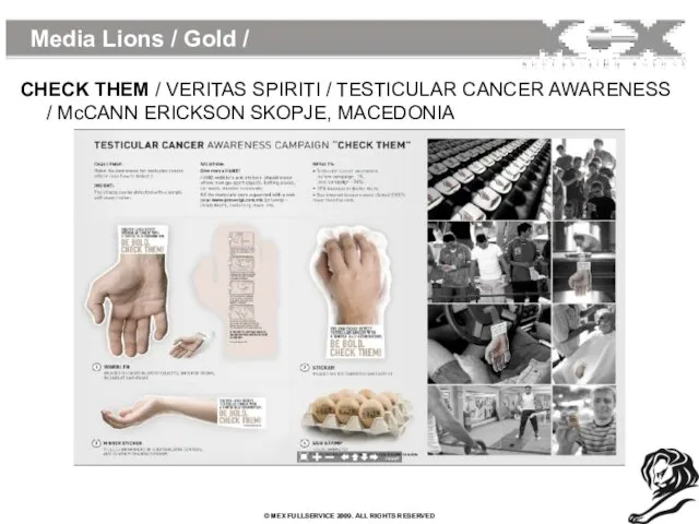 Media Lions / Gold / CHECK THEM / VERITAS SPIRITI / TESTICULAR