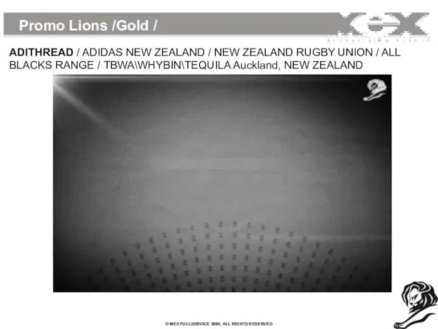 Promo Lions /Gold / ADITHREAD / ADIDAS NEW ZEALAND / NEW ZEALAND