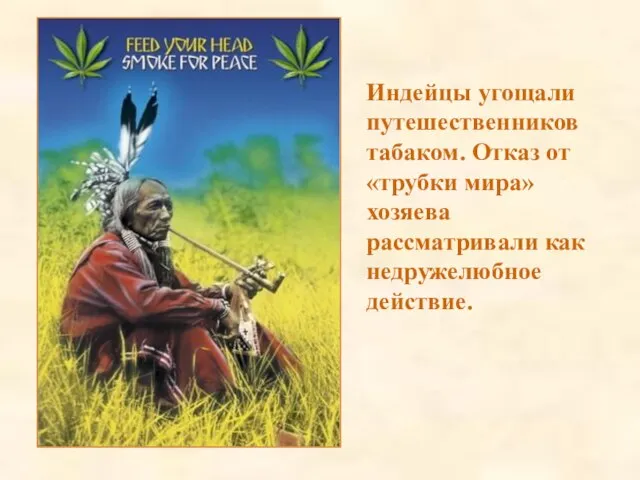 Индейцы угощали путешественников табаком. Отказ от «трубки мира» хозяева рассматривали как недружелюбное действие.