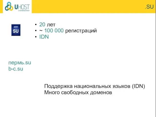 .SU 20 лет ~ 100 000 регистраций IDN Поддержка национальных языков (IDN)