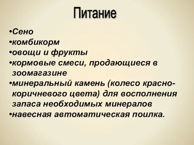 Сено комбикорм овощи и фрукты кормовые смеси, продающиеся в зоомагазине минеральный камень