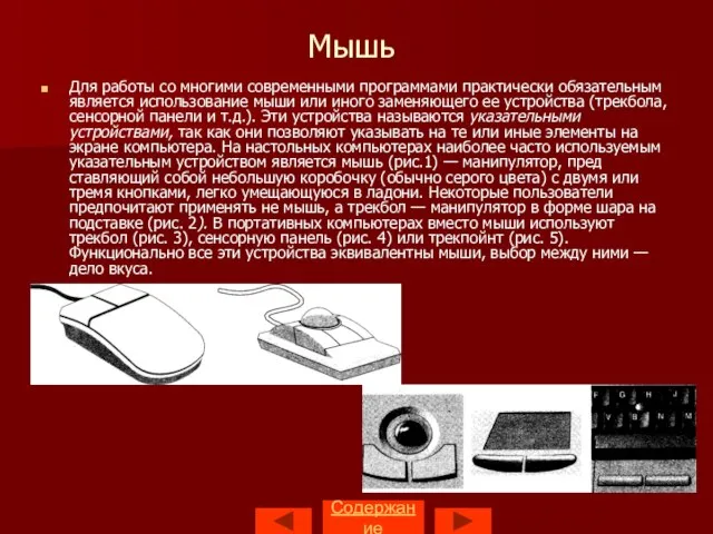 Мышь Для работы со многими современными программами практически обязательным является использование мыши