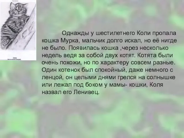 Однажды у шестилетнего Коли пропала кошка Мурка, мальчик долго искал, но её