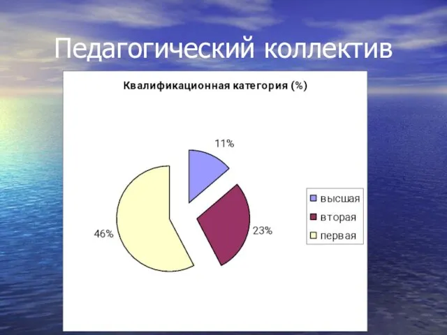 Педагогический коллектив