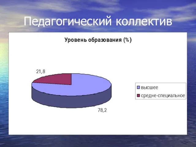 Педагогический коллектив