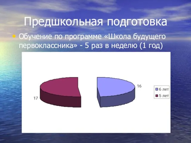 Предшкольная подготовка Обучение по программе «Школа будущего первоклассника» - 5 раз в неделю (1 год)