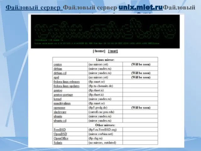 Файловый сервер Файловый сервер unix.miet.ruФайловый сервер unix.miet.ru объемом 2 Тб