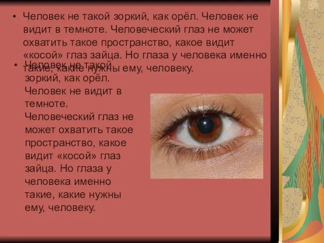 Человек не такой зоркий, как орёл. Человек не видит в темноте. Человеческий