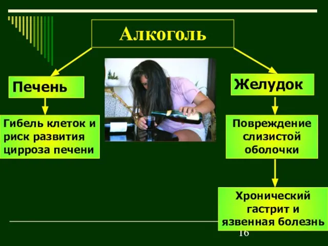 Алкоголь Печень Желудок Гибель клеток и риск развития цирроза печени Повреждение слизистой