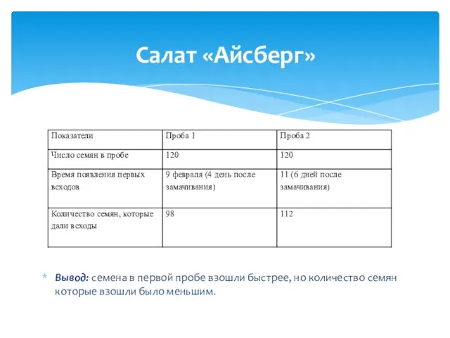 Салат «Айсберг» Вывод: семена в первой пробе взошли быстрее, но количество семян которые взошли было меньшим.