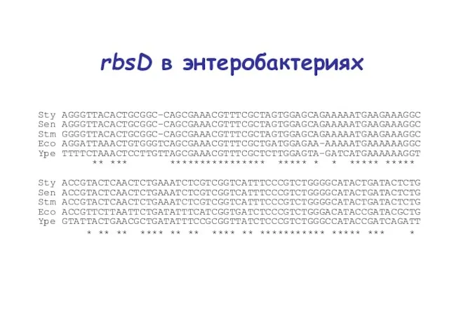 rbsD в энтеробактериях Sty AGGGTTACACTGCGGC-CAGCGAAACGTTTCGCTAGTGGAGCAGAAAAATGAAGAAAGGC Sen AGGGTTACACTGCGGC-CAGCGAAACGTTTCGCTAGTGGAGCAGAAAAATGAAGAAAGGC Stm GGGGTTACACTGCGGC-CAGCGAAACGTTTCGCTAGTGGAGCAGAAAAATGAAGAAAGGC Eco AGGATTAAACTGTGGGTCAGCGAAACGTTTCGCTGATGGAGAA-AAAAATGAAAAAAGGC Ype