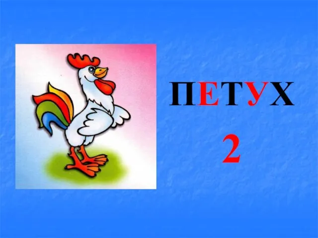 ПЕТУХ 2