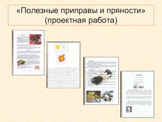 «Полезные приправы и пряности» (проектная работа)