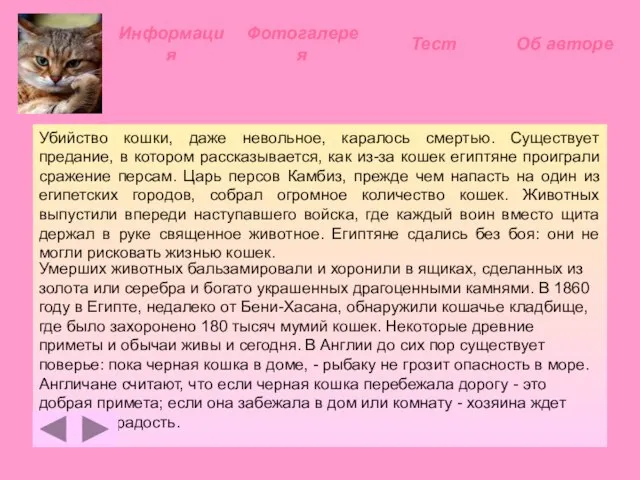 Умерших животных бальзамировали и хоронили в ящиках, сделанных из золота или серебра