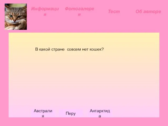 Информация Фотогалерея В какой стране совсем нет кошек? Австралия Перу Антарктида Тест Об авторе