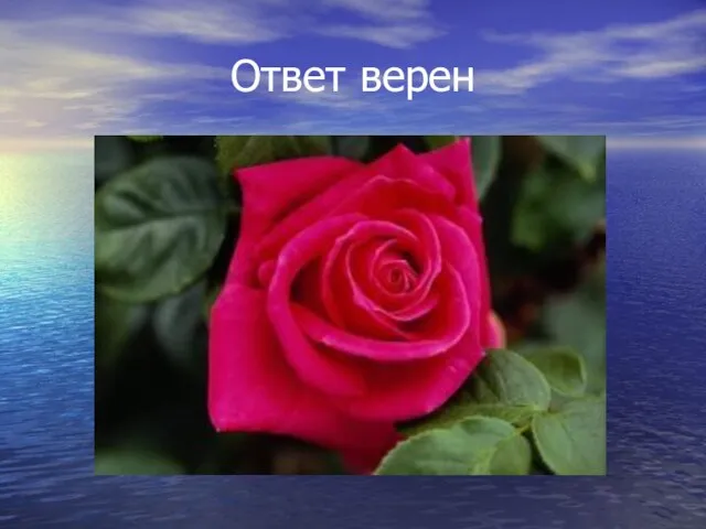 Ответ верен