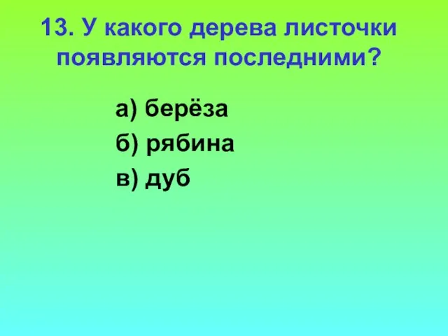 13. У какого дерева листочки появляются последними? а) берёза б) рябина в) дуб