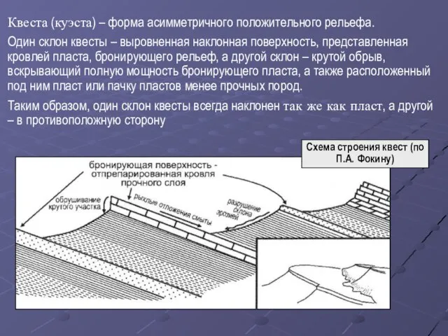 Квеста (куэста) – форма асимметричного положительного рельефа. Один склон квесты – выровненная