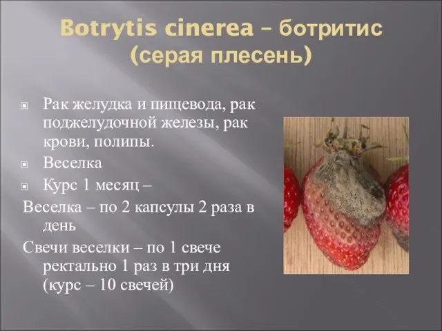 Botrytis cinerea – ботритис (серая плесень) Рак желудка и пищевода, рак поджелудочной