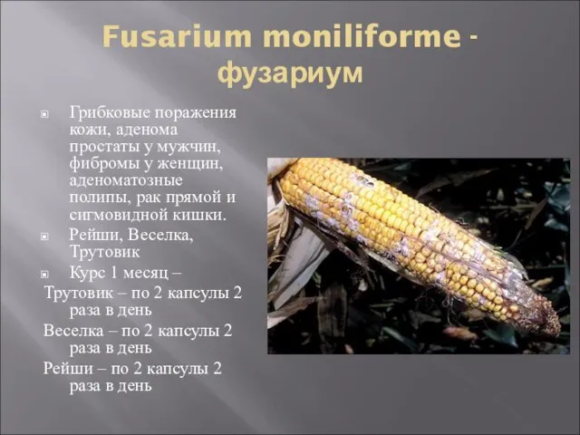 Fusarium moniliforme - фузариум Грибковые поражения кожи, аденома простаты у мужчин, фибромы