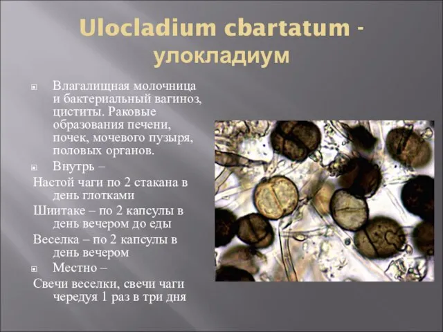 Ulocladium cbartatum - улокладиум Влагалищная молочница и бактериальный вагиноз, циститы. Раковые образования