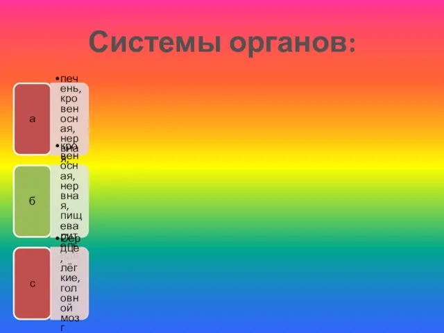 Системы органов: а печень, кровеносная, нервная, б кровеносная, нервная, пищеварительная с Сердце, лёгкие, головной мозг