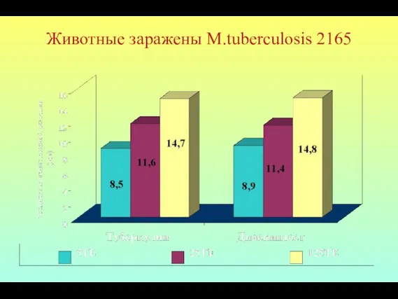 Животные заражены M.tuberculosis 2165