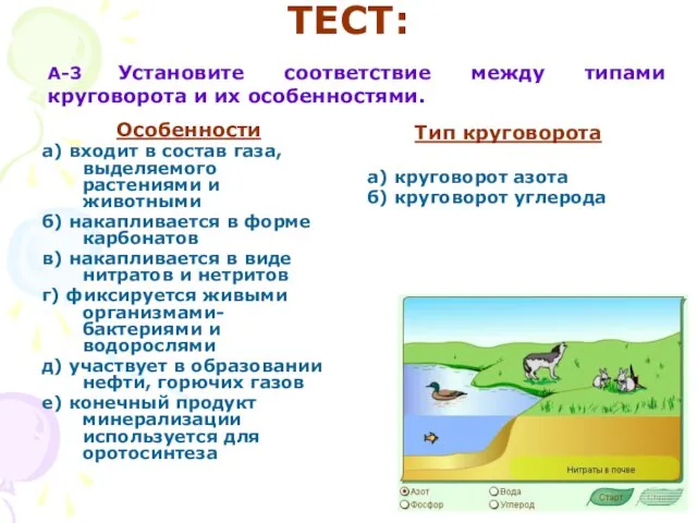 ТЕСТ: Особенности а) входит в состав газа, выделяемого растениями и животными б)