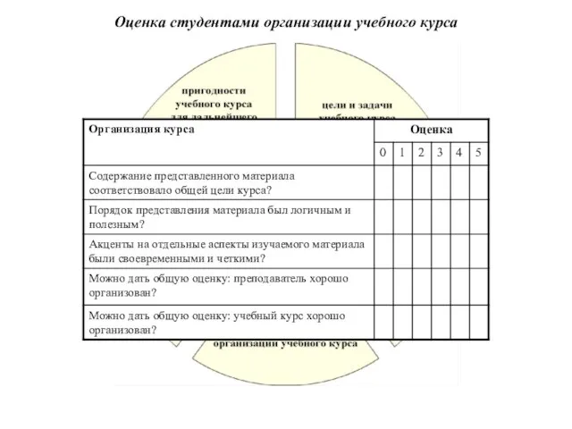 Оценка студентами организации учебного курса