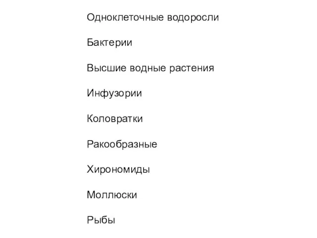 Одноклеточные водоросли Бактерии Высшие водные растения Инфузории Коловратки Ракообразные Хирономиды Моллюски Рыбы