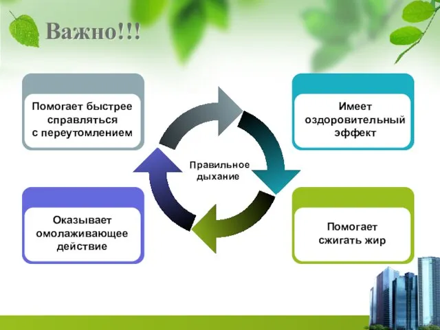 Правильное дыхание Оказывает омолаживающее действие Помогает быстрее справляться с переутомлением Помогает сжигать