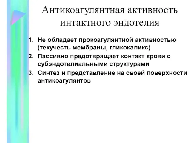 Антикоагулянтная активность интактного эндотелия Не обладает прокоагулянтной активностью (текучесть мембраны, гликокаликс) Пассивно