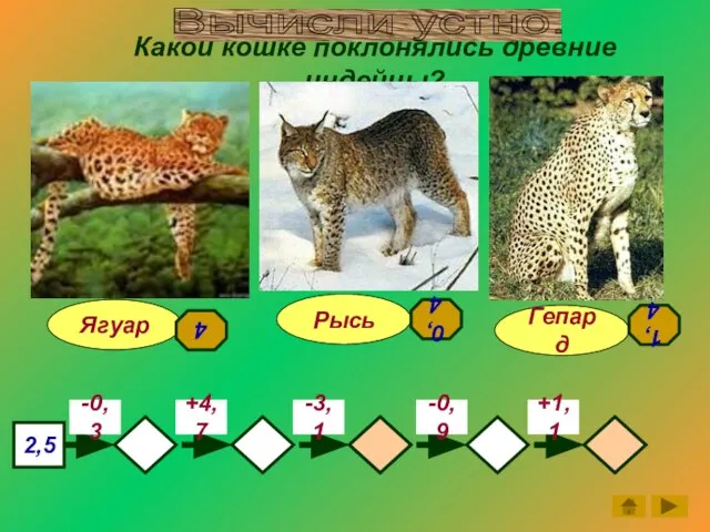 Какой кошке поклонялись древние индейцы? Гепард Ягуар Рысь 2,5 -0,3 -3,1 -0,9