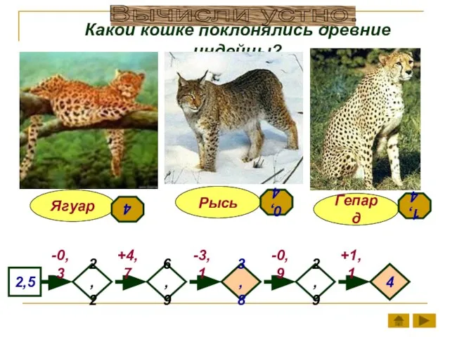 Какой кошке поклонялись древние индейцы? Гепард Ягуар Рысь 2,2 6,9 2,9 2,5